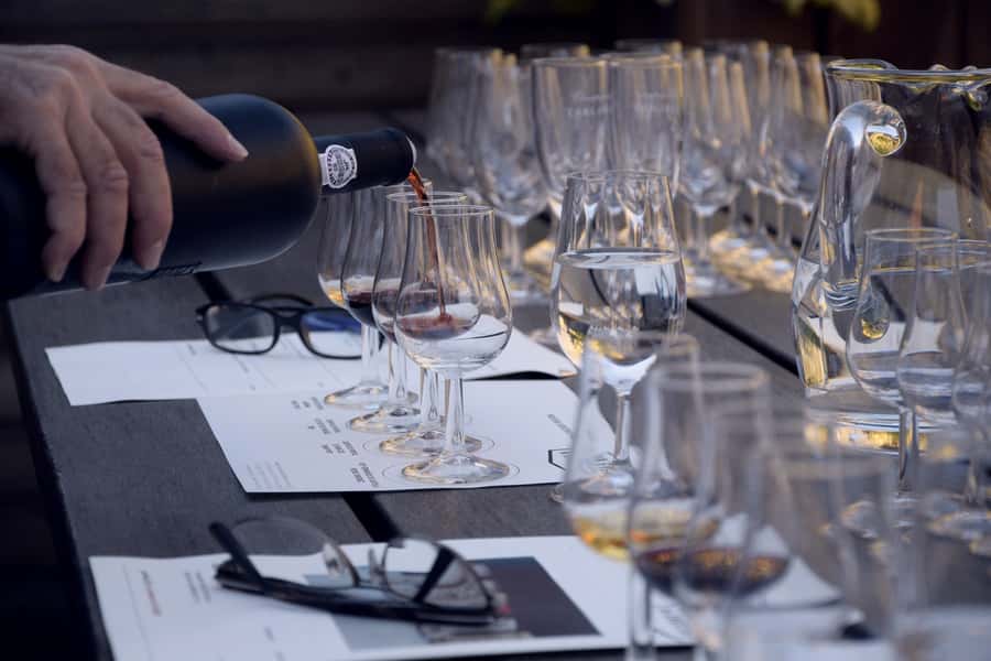 Premium Argentinian Wines and Malbec Tasting Experience - Should you book it?