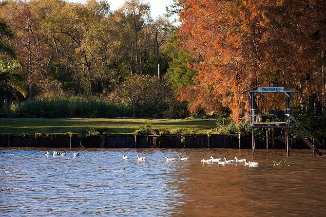 Premium Audio Guided Navigation to Tiger roundtrip - Free time in Tigre after the morning sailing