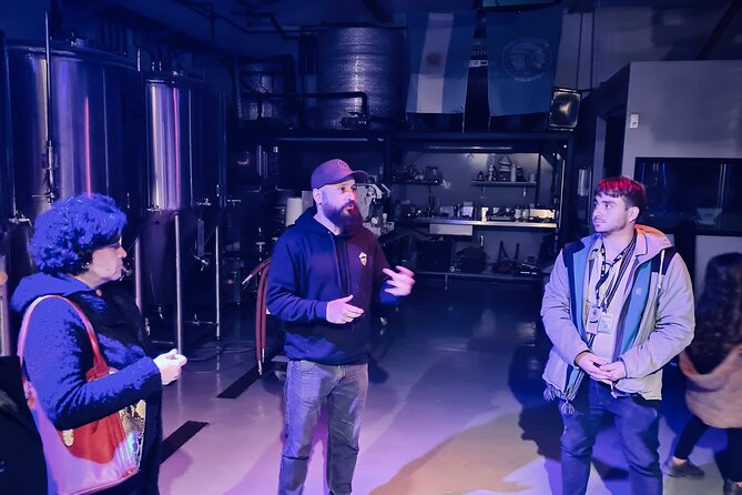 Premium Best Craft Beer Tour Experience in Palermo, Buenos Aires - Tasting the full range of house beers
