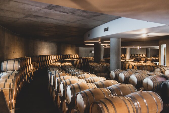 Prestigious wineries of Uco - Private luxury tour - The ride from Mendoza to the vineyards