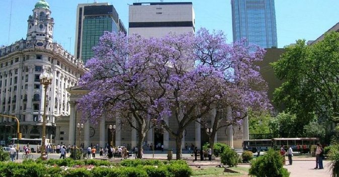 Private Buenos Aires City Tour from Cruise Terminal - San Telmo, the city’s oldest district