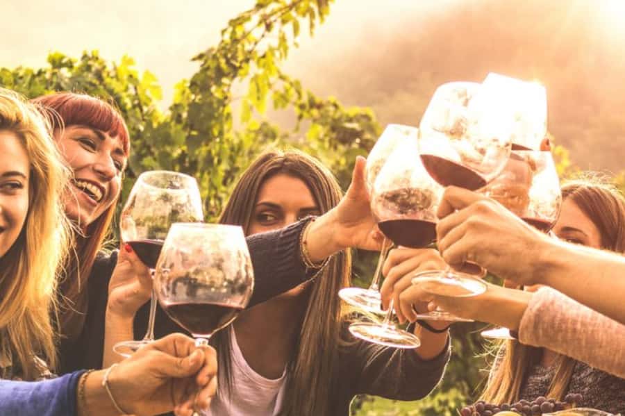 Private Day Mendoza Wineries (Opt Flight from Buenos Aires) - Key things to know before booking