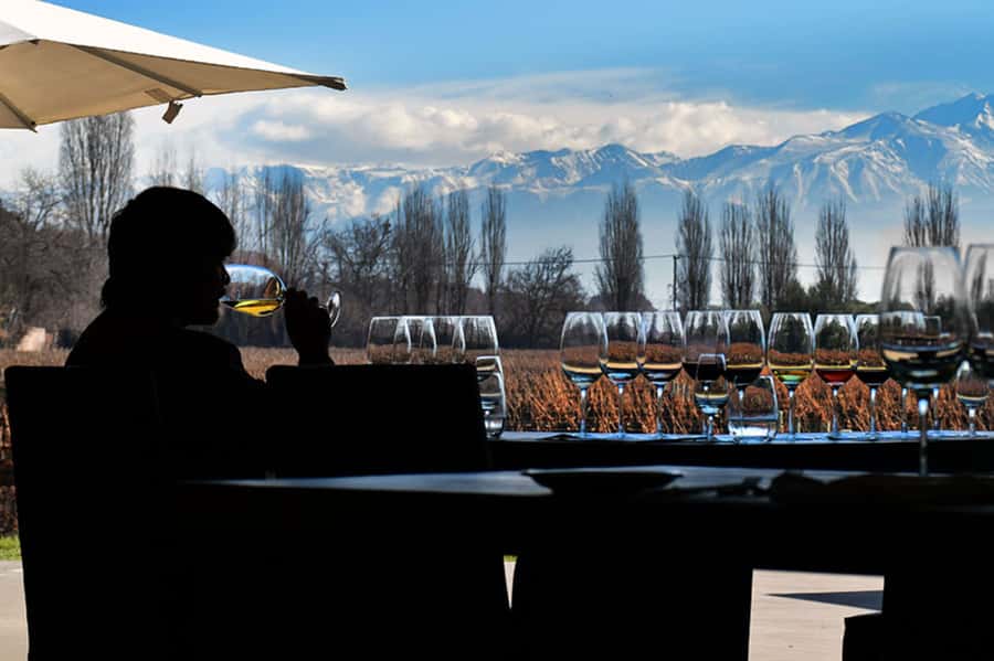 Private Day Mendoza Wineries (Opt Flight from Buenos Aires) - Why this Mendoza day trip works