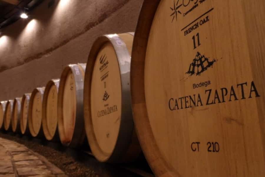 Private Day Mendoza Wineries (Opt Flight from Buenos Aires) - A winery lunch with carefully matched wine