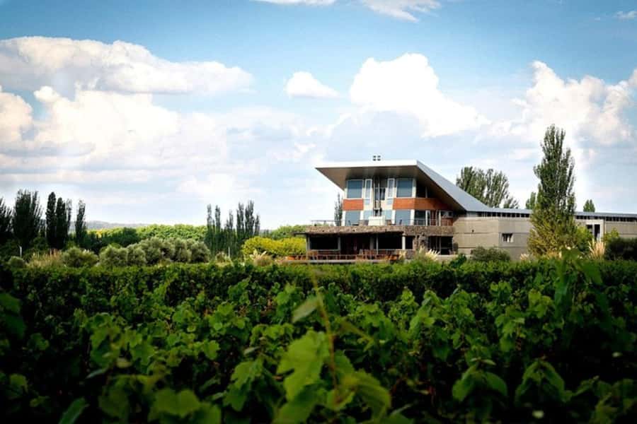 Private Day Mendoza Wineries (Opt Flight from Buenos Aires) - The olive oil factory adds a different flavor