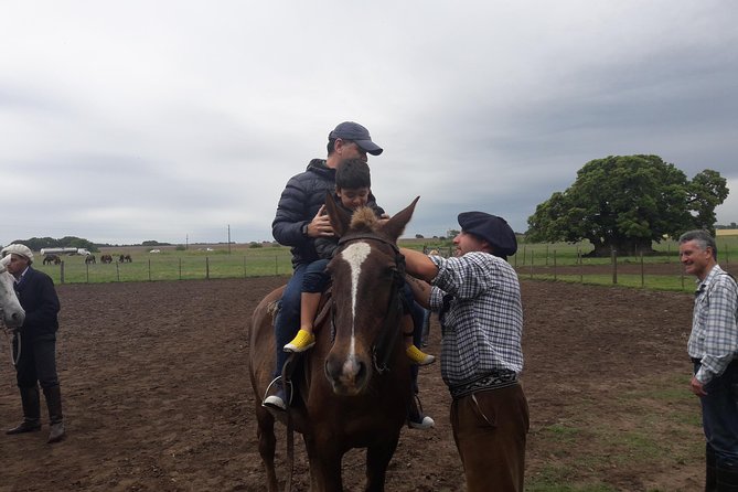 Private Day Tour To A Traditional Estancia - The current horse-riding restriction