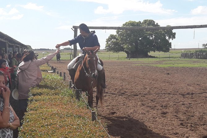 Private Day Tour To A Traditional Estancia - A long lunch built around the parrillada