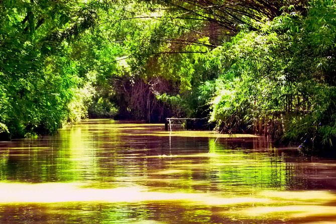 Private Day Trip to Tigre Delta from Buenos Aires - What makes the Tigre Delta different