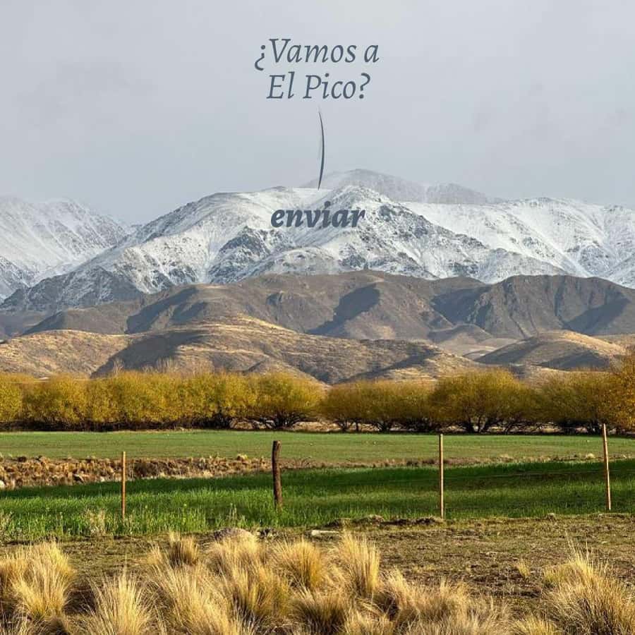 Private Experience: Horseback Riding and BBQ in the Mountain - Estancia La Carrera - Coffee, pastries, and a family welcome