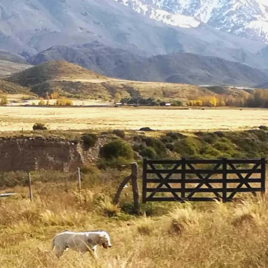 Private Experience: Horseback Riding and BBQ in the Mountain - Estancia La Carrera - The 2,400-meter viewpoint