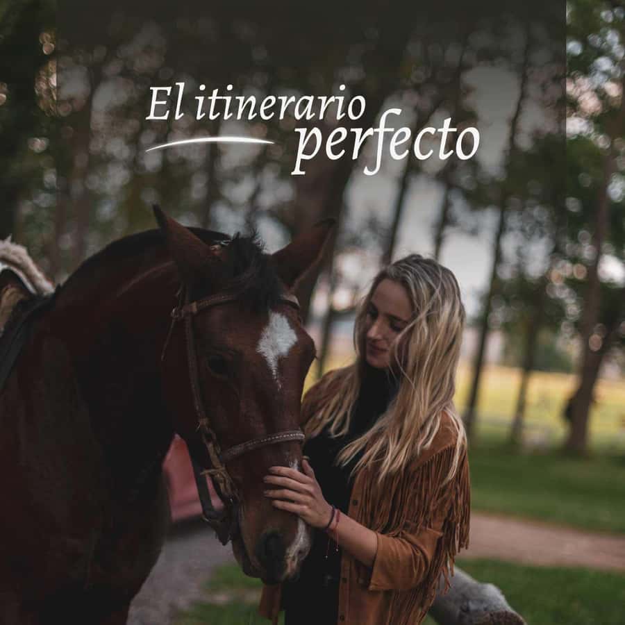 Private Experience: Horseback Riding and BBQ in the Mountain - Estancia La Carrera - The 95-kilometer ride from Mendoza