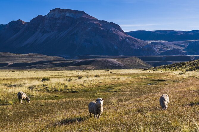 Private Full-Day Perito Moreno with Airfare from Buenos Aires - Adding the Safari Náutico on Lago Argentino