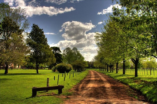 Private Gaucho Day to an Authentic Argentinian Estancia - Key points to know before you book