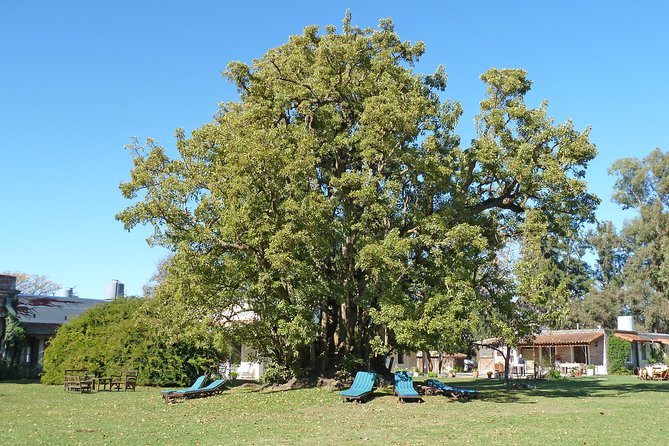 Private GAUCHO TOUR - FULL DAY TRIP Guided in EN, SPA or FR - Argentina - A note about the ranch name