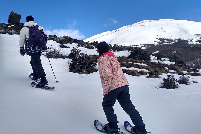 Private Snowshoe Hiking in Bariloche in Winter - Lenga forest and the real uphill work