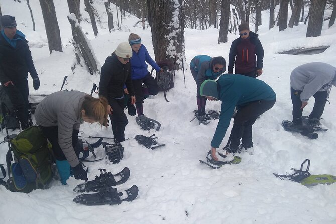 Private Snowshoe Hiking in Bariloche in Winter - Summit lunch and red fruit tea