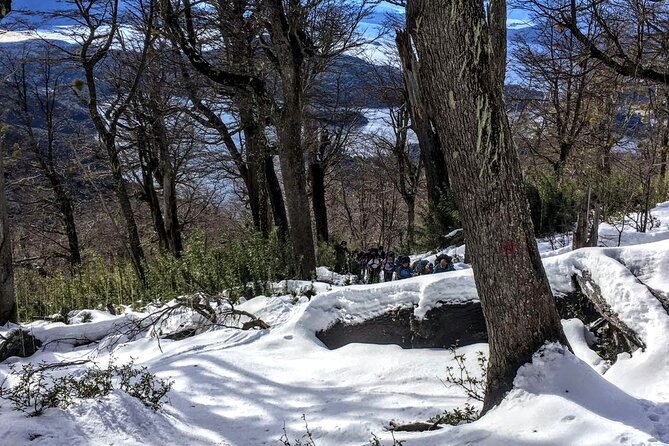 Private Snowshoe Hiking in Bariloche in Winter - What the $150 price gets you