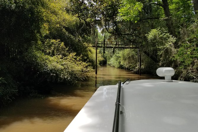 Private Tigre Delta, Northern Buenos Aires & San Isidro - What the Tigre Delta experience can feel like
