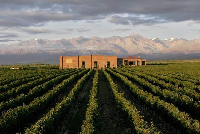 Private Tour + Uco Valley Vinicolas - What private transportation changes