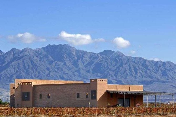 Private Transfer + Lujan de Cuyo Vinicolas / Maipu - Olivicola LAUR and Mendoza’s olive tradition