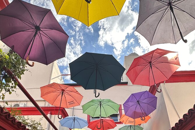Private Walking Tour of Buenos Aires South Neighborhoods - Key points at a glance