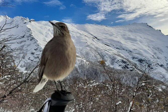 Private Winter Trekking Experience in Bariloche - Key Points Before You Book