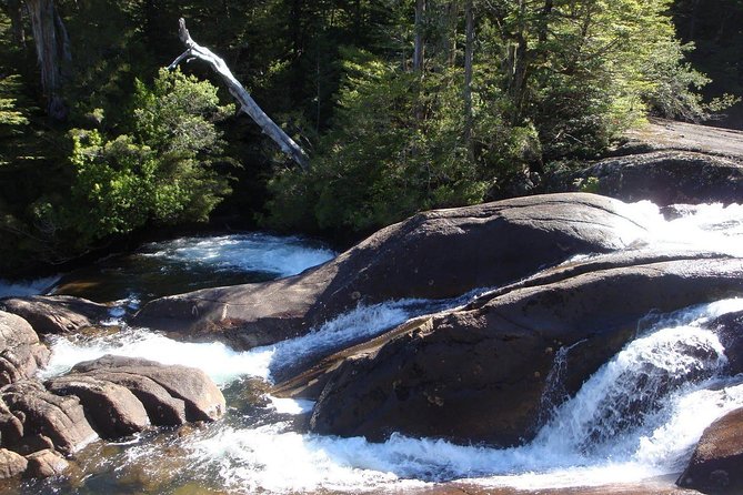 Puerto Blest Cruise & Waterfalls Hike with optional Frias Lake - Los Cántaros Lake, old trees, and rainforest paths