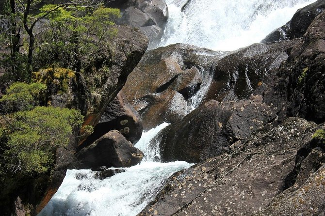 Puerto Blest Cruise & Waterfalls Hike with optional Frias Lake - Puerto Blest lunch and free time