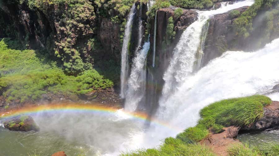 Puerto Iguazu: Argentine Falls & Great Adventure Boat - The open-air truck through the forest
