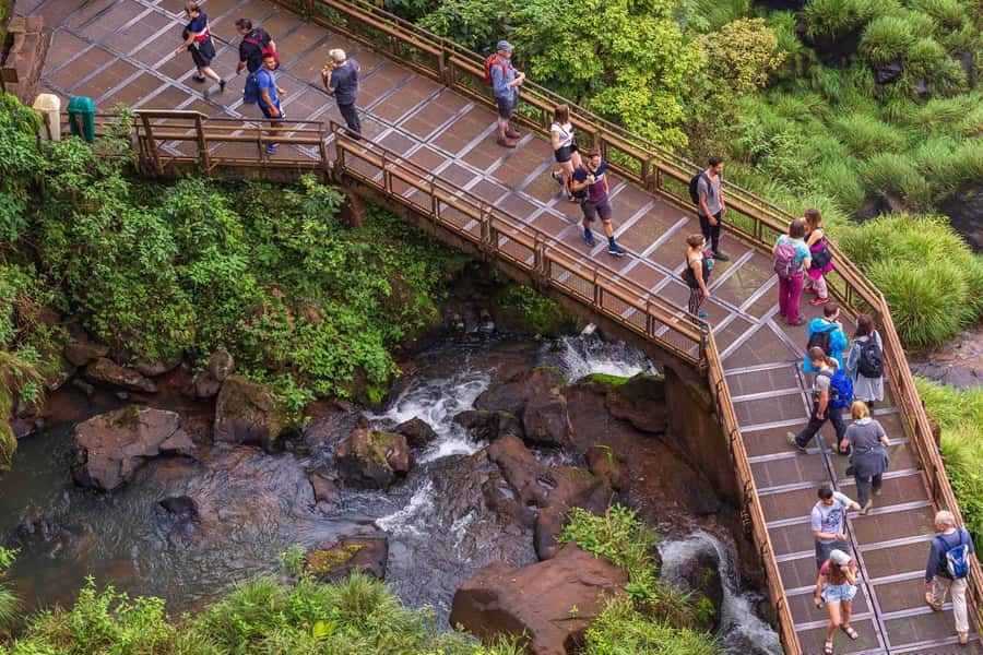 Puerto Iguazu: Argentinian Side of the Falls - Forest paths, fauna, and flora