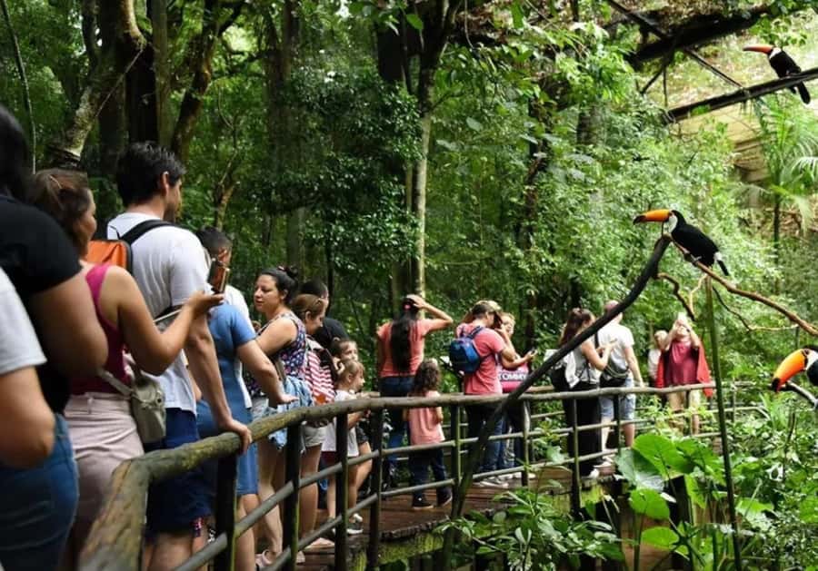 Puerto Iguazu: Iguaza Falls Brazilian Side & Bird Park Tour - Hotel pickup and the journey across the border