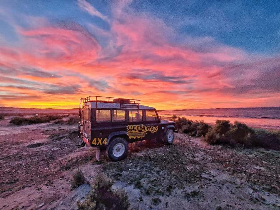 PUERTO MADRYN: 4 X 4 ADVENTURE EXPERIENCE ON THE MOST BEAUTIFUL BEACHES! - Punta Este and the intertidal zone