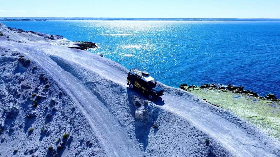 PUERTO MADRYN: 4 X 4 ADVENTURE EXPERIENCE ON THE MOST BEAUTIFUL BEACHES! - Punta Loma: Flora Trail and sea lions