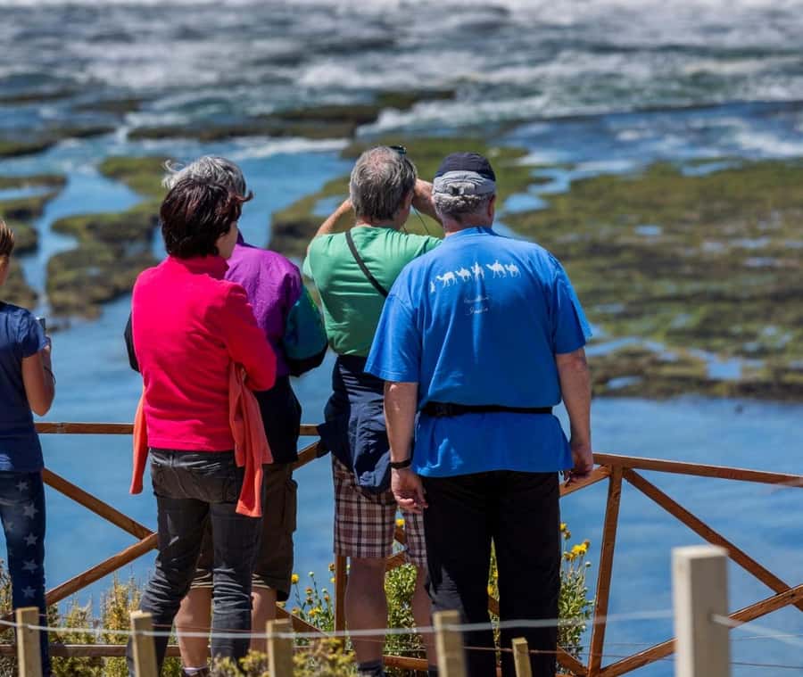 Puerto Madryn: Full Day Peninsula Valdes Experience Tour - Crossing the steppe to Caleta Valdes