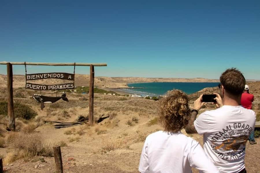 Puerto Madryn: Full Day Peninsula Valdes Experience Tour - Meeting the elephant seals at Caleta Valdes