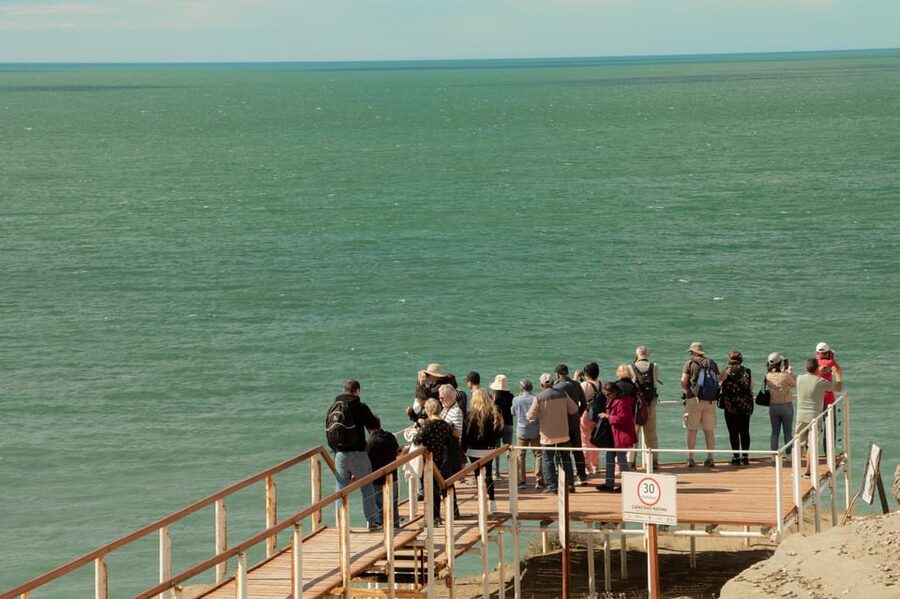 Puerto Madryn: Full Day Peninsula Valdes Experience Tour - Is $120 a fair price?