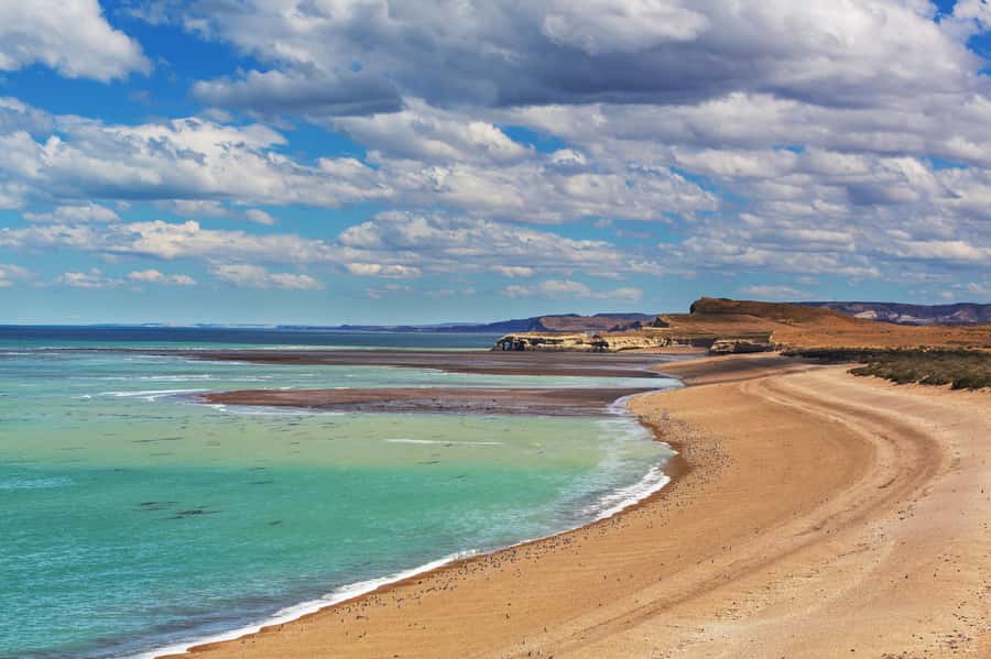 Puerto Madryn: Península Valdes with optional Whale Watching - Why Península Valdés deserves a full day