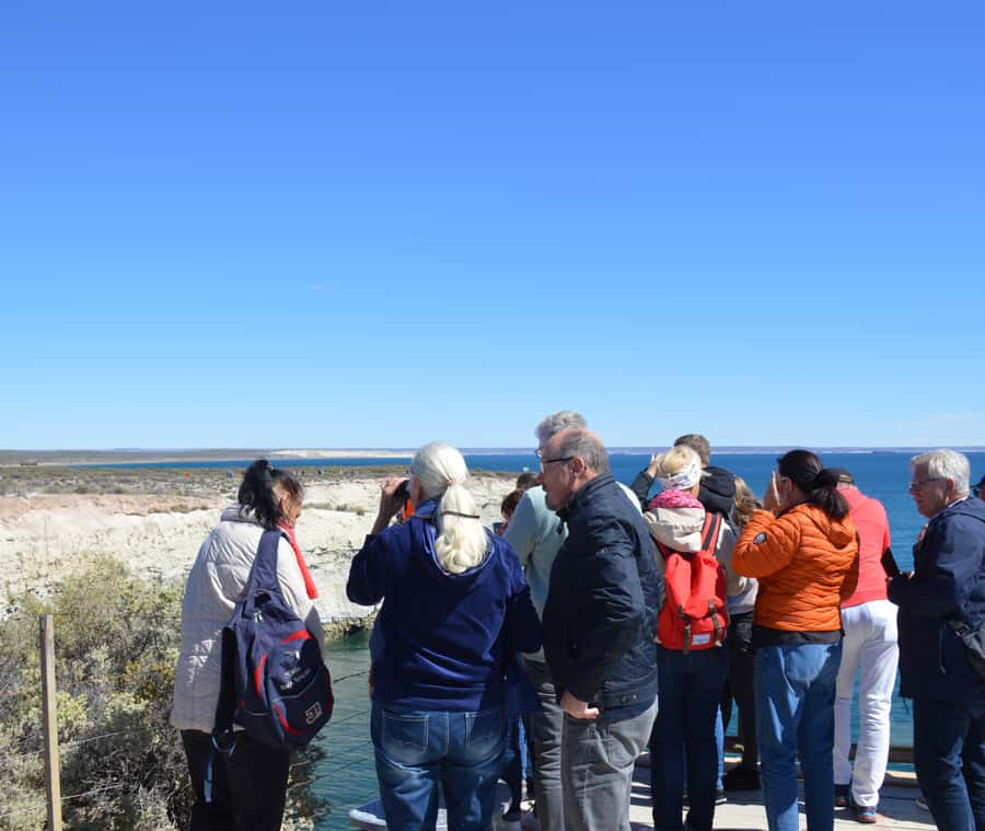 Puerto Madryn: Punta Loma Shore Excursion - Starting outside Piedrabuena Pier