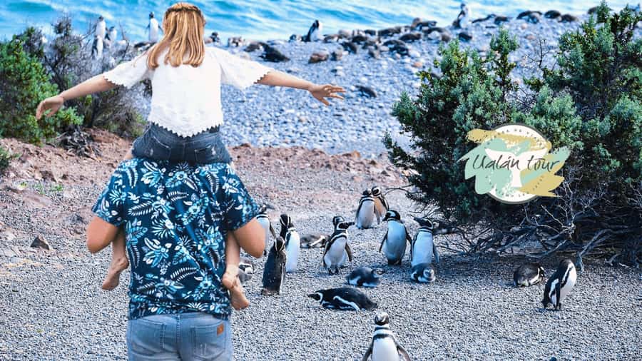 Puerto Madryn: Punta Tombo Shore Excursion for Cruise Guests - Entering the Punta Tombo reserve
