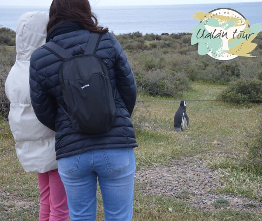 Puerto Madryn: Punta Tombo Shore Excursion for Cruise Guests - A sensible packing list for Punta Tombo