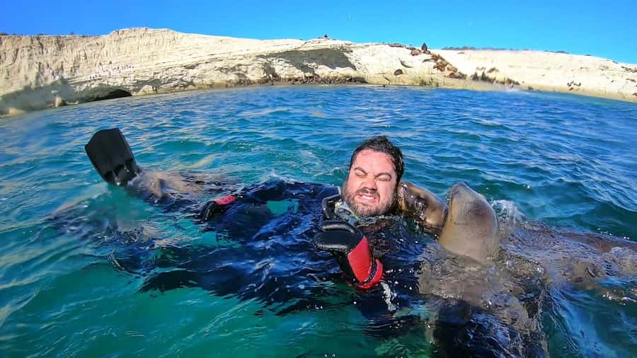 Puerto Madryn: Snorkeling Trip with Sea Lions - Should you book the sea lion snorkeling trip?