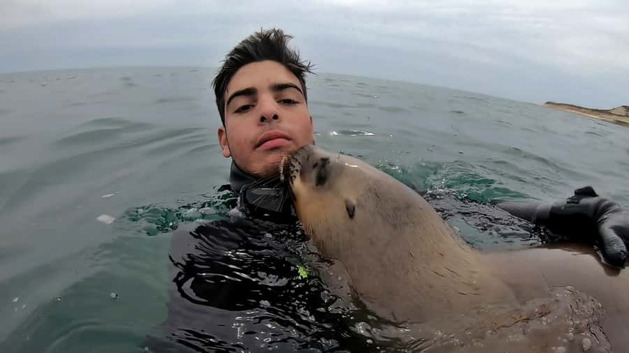 Puerto Madryn: Snorkeling Trip with Sea Lions - How good is the $150 value?