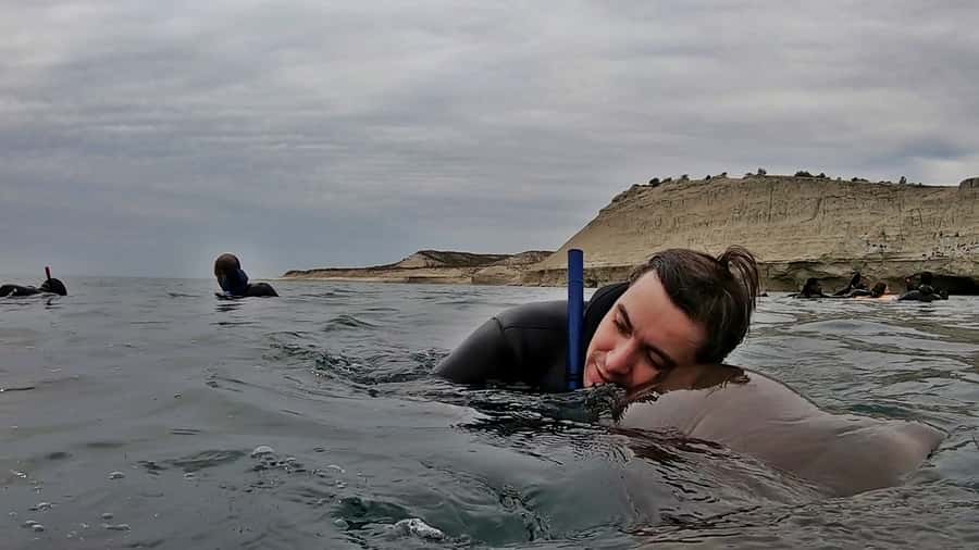 Puerto Madryn: Snorkeling Trip with Sea Lions - Conditions, clothing, and useful preparation