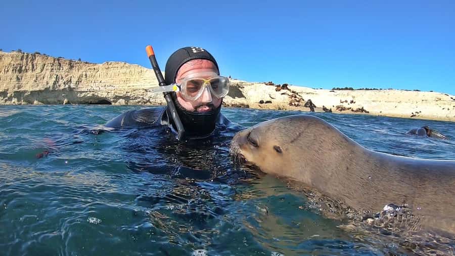 Puerto Madryn: Snorkeling Trip with Sea Lions - Starting at Madryn Buceo on Bv. Almte Brown 1900