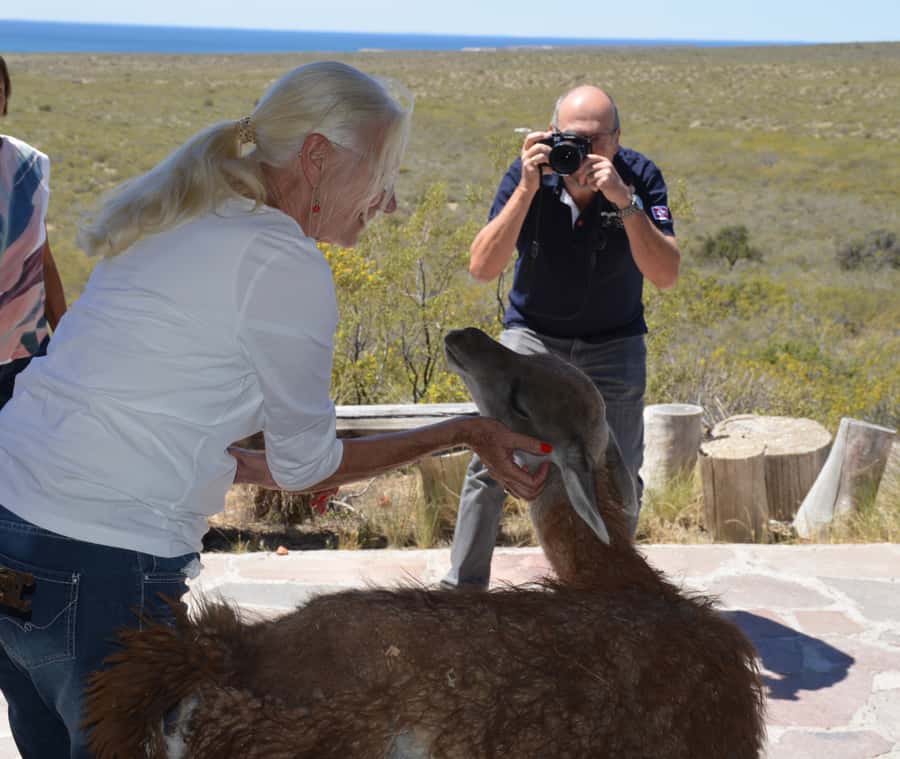 Punta Loma + Ranch Shore Excursion for cruise passengers - Key points at a glance