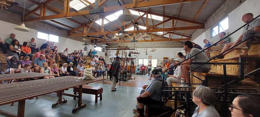 Punta Loma + Ranch Shore Excursion for cruise passengers - Who should book this excursion?