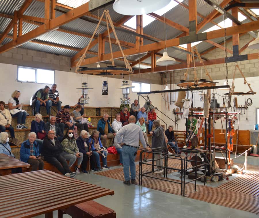 Punta Loma + Ranch Shore Excursion for cruise passengers - Why this Puerto Madryn shore trip works