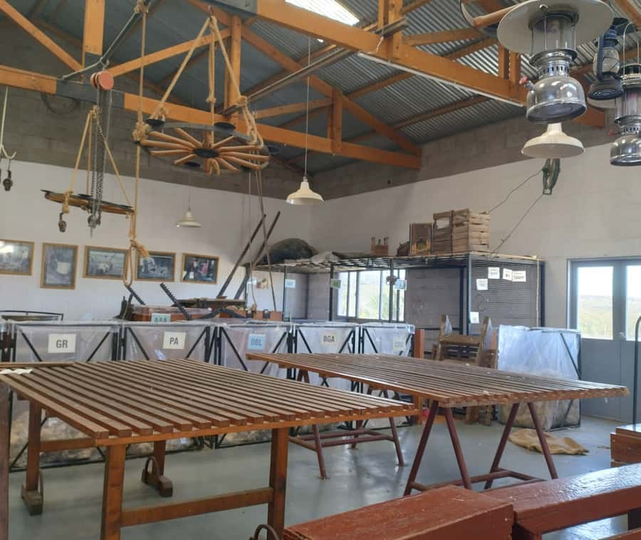 Punta Loma + Ranch Shore Excursion for cruise passengers - A Patagonian lunch built around lamb
