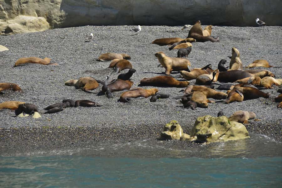 Punta Loma Shore Excursion with City tour - Key points to know before you go