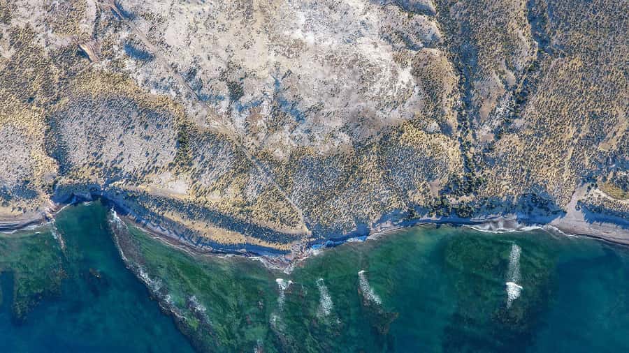 Punta Tombo for cruise-ship passengers - Quick take: what makes this Punta Tombo trip useful
